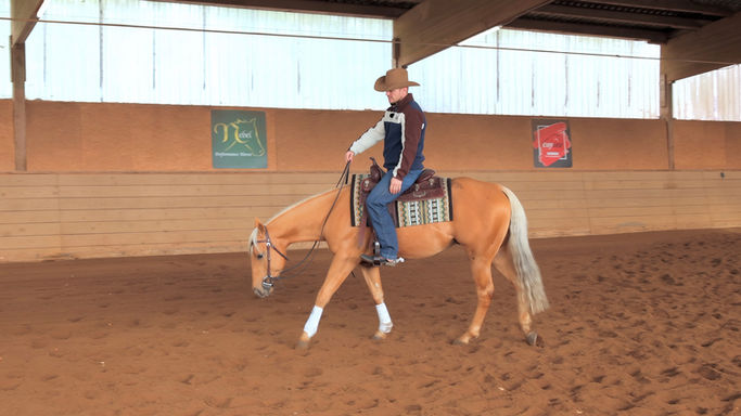 Der Neck-Rein